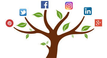 social media